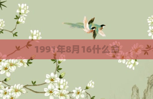 1991年8月16什么命
