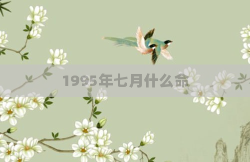 1995年七月什么命