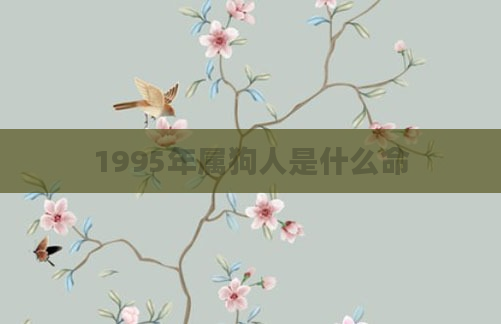 1995年属狗人是什么命