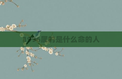 1996属的是什么命的人