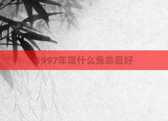 1997年属什么兔命最好