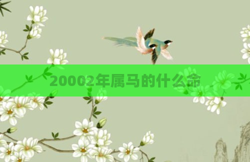 20002年属马的什么命
