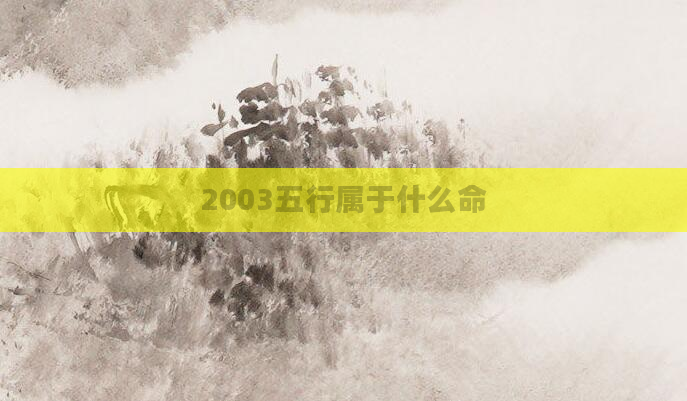 2003五行属于什么命