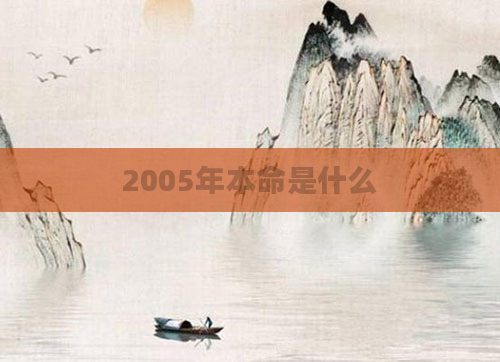 2005年本命是什么