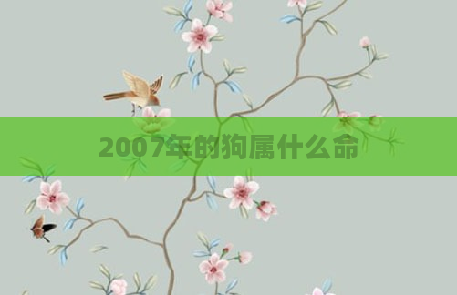 2007年的狗属什么命