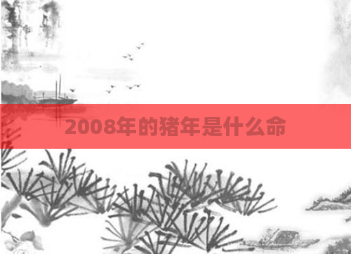 2008年的猪年是什么命