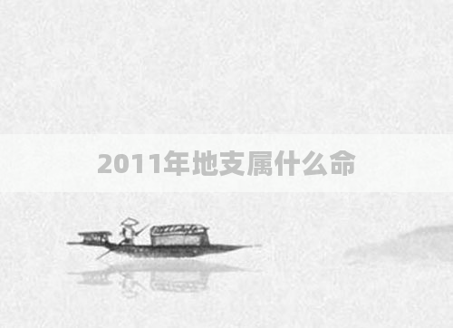 2011年地支属什么命