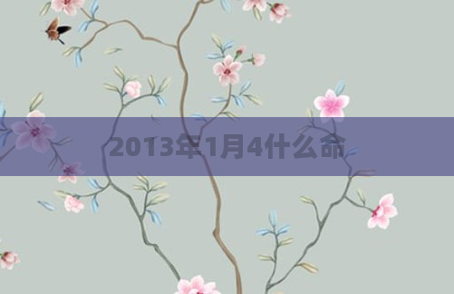 2013年1月4什么命