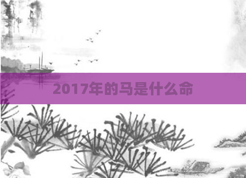 2017年的马是什么命