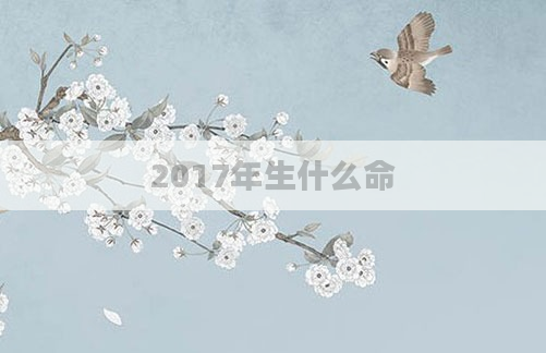 2017年生什么命