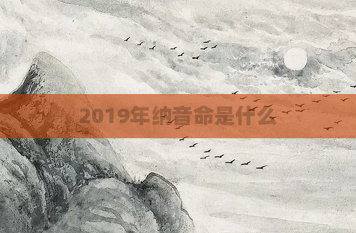 2019年纳音命是什么