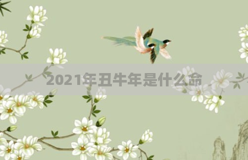 2021年丑牛年是什么命