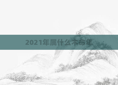 2021年属什么木命年