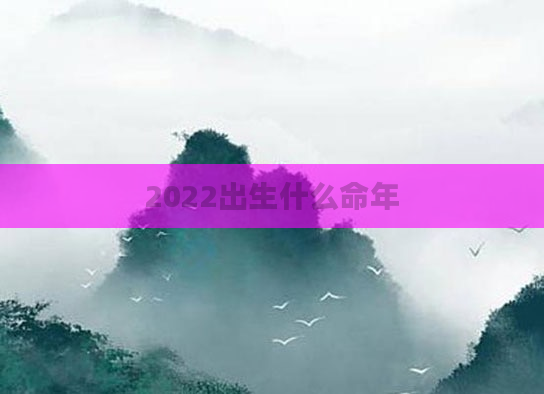 2022出生什么命年
