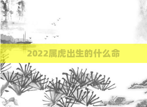 2022属虎出生的什么命