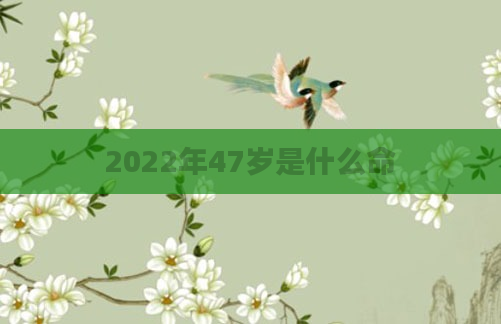 2022年47岁是什么命