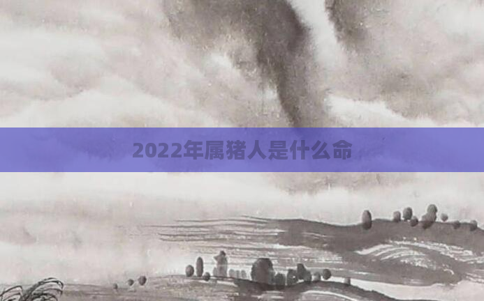2022年属猪人是什么命