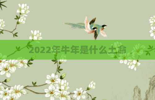 2022年牛年是什么土命