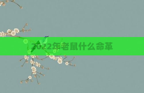2022年老鼠什么命革
