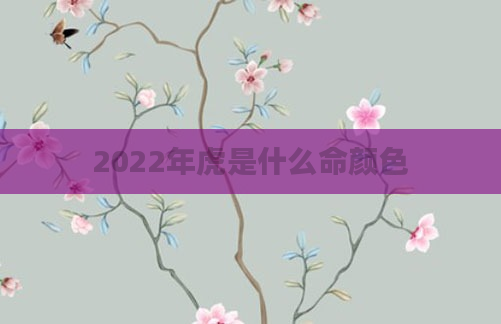 2022年虎是什么命颜色