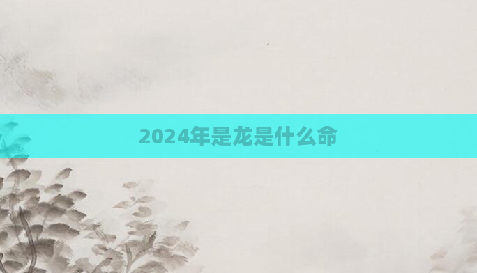 2024年是龙是什么命