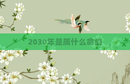 2030年是属什么命的