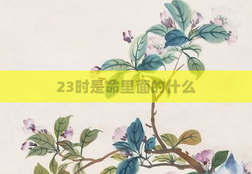 23时是命里面的什么