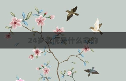 24岁老虎是什么命的