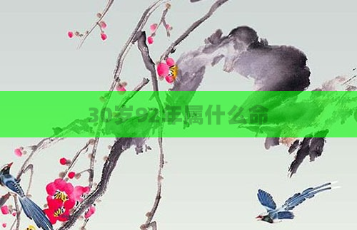 30岁92年属什么命