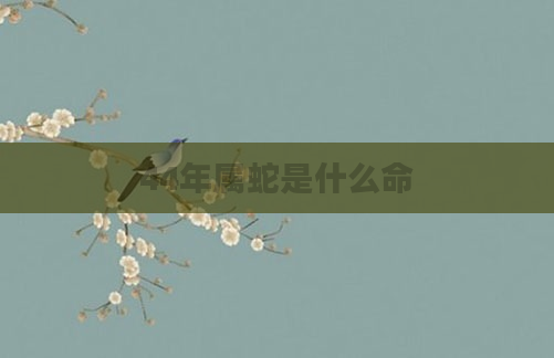 44年属蛇是什么命