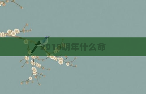 2018明年什么命