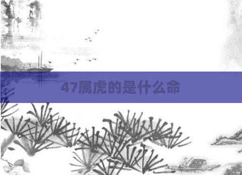 47属虎的是什么命