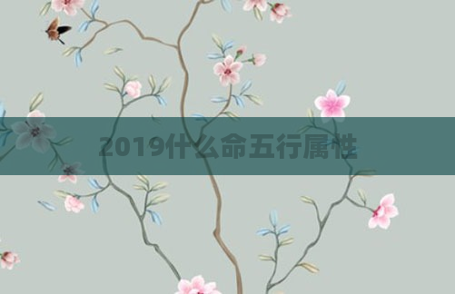 2019什么命五行属性