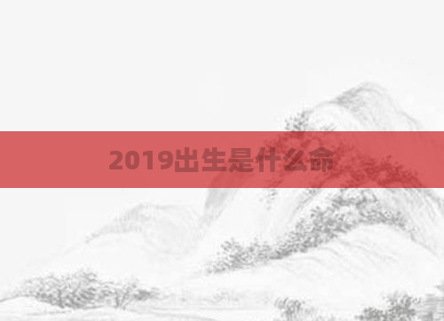 2019出生是什么命