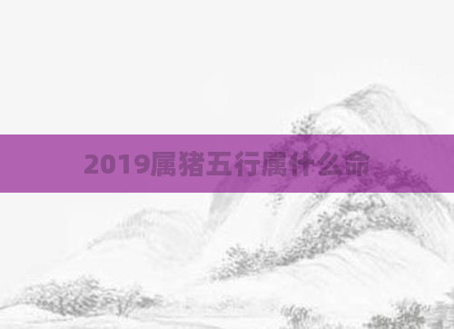 2019属猪五行属什么命