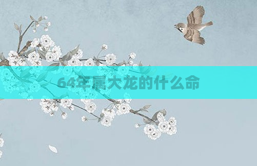 64年属大龙的什么命