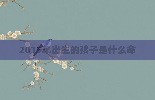 2019年出生的孩子是什么命