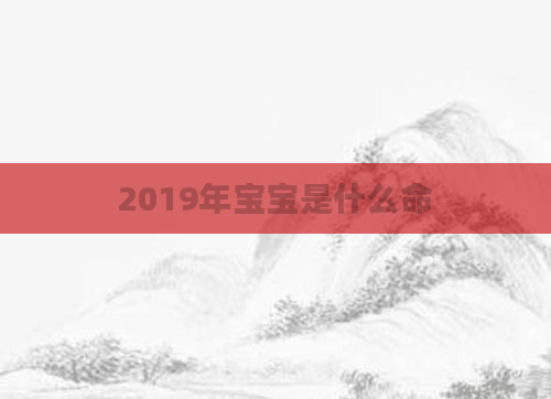 2019年宝宝是什么命