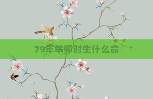 79年羊卯时生什么命