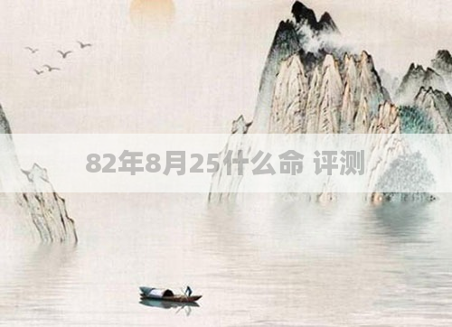 82年8月25什么命 评测