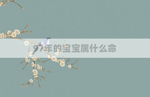 97年的宝宝属什么命