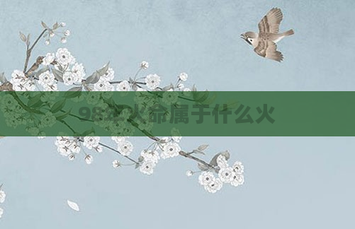 98年火命属于什么火