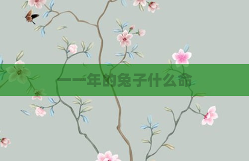 一一年的兔子什么命