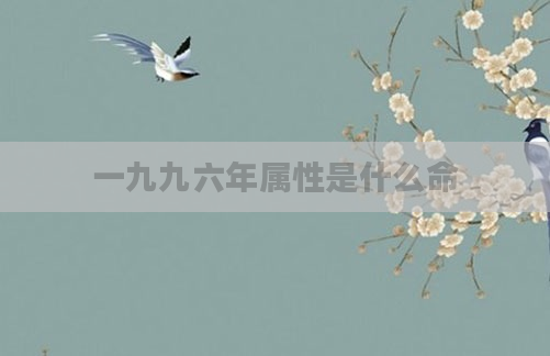 一九九六年属性是什么命