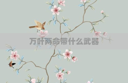 万叶两命带什么武器