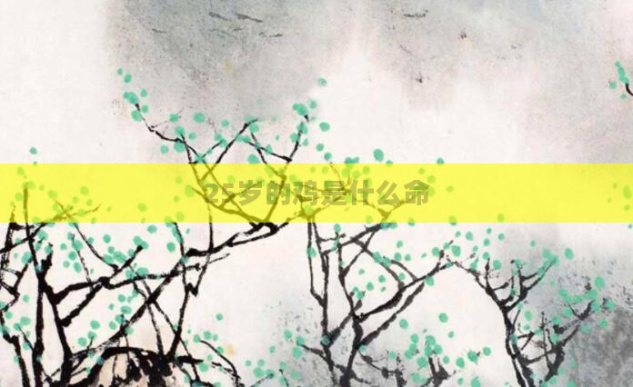 25岁的鸡是什么命