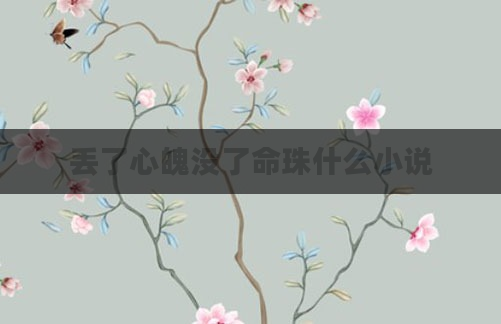 丢了心魄没了命珠什么小说