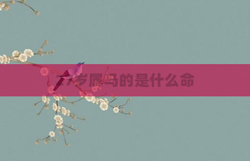 27岁属马的是什么命