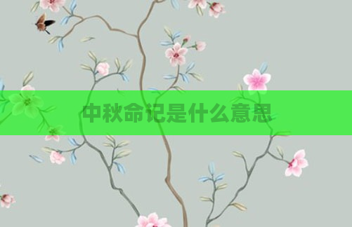 中秋命记是什么意思
