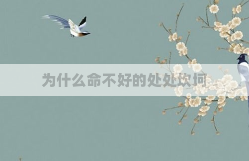 为什么命不好的处处坎坷